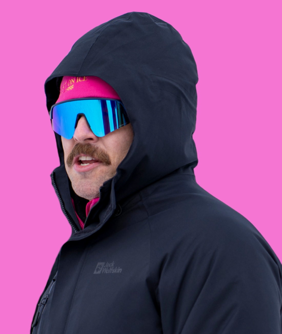 kristo https://hippos.io/wp-content/uploads/2026/02/kristo.png